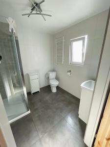 a white bathroom with a shower and a toilet at Domek Basiagówka in Lipie
