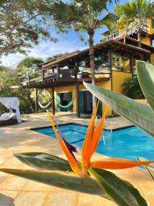 vista della casa dalla piscina con una pianta di FERRADURA EXCLUSIVE SEaVIEW a Búzios