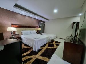 a bedroom with a bed and a television in it at Tourist House in Santa Cruz de la Sierra