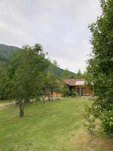 una casa en un campo junto a un árbol en Cabaña En Lago colbun, sector Pasó Nevado, en Talca