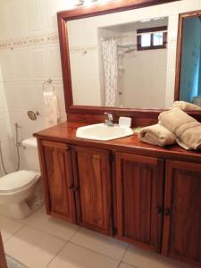 a bathroom with a sink and a mirror and a toilet at Gaia Lodge in Boquete