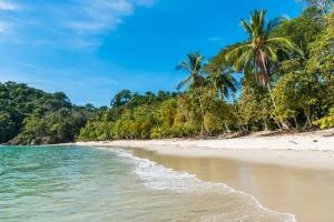 a beach with palm trees and the ocean at Nova Beautiful boutique hotel Manuel Antonio in Manuel Antonio