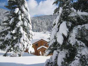 una cabaña de madera en la nieve con árboles en Le Couarôge Chalets et Appartements, en La Bresse
