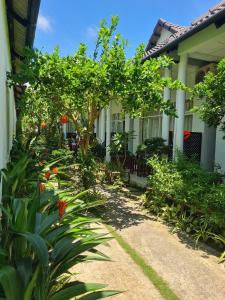 um jardim em frente a uma casa com árvores e plantas em Sunlight Bungalow em Duong Dong