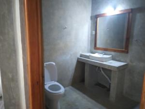 a bathroom with a toilet and a sink and a mirror at Riverston Du Eco Cottage in Rattota