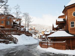 冬天的Elf Resort Hotel