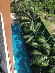 een uitzicht over een zwembad met palmbomen bij The Beach by Glitter House in Kata Beach