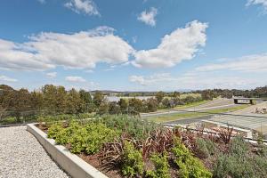a view of a garden with plants and a road at The ApARTments 403 Canberra City ACT in Canberra