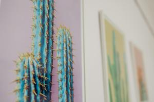 Fotografie z fotogalerie ubytování CACTUS - Blooming Garden Apartments v destinaci Kalamata