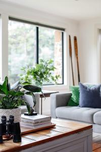 a living room with a couch and a table with a plant at Naivasha Cottage in Deloraine