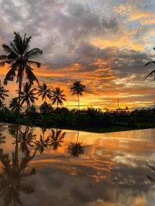 a sunset with palm trees and a body of water at Umah Tirta in Ubud