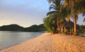 布桑加的住宿－San Nicolas Private Beach，一片拥有小屋和棕榈树及水的海滩