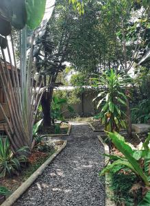 a path in a garden with trees and plants at Cabanas de Nacpan Camping Resort in El Nido