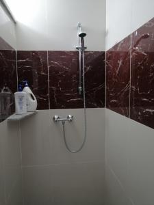 a shower in a bathroom with black marble tiles at Lonos Circle Terrace view in Romblon