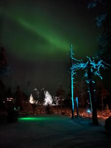 Una aurora brilla en el cielo detrás de un árbol en Villa Utsuntuisku, en Levi