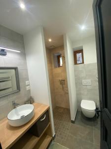 a bathroom with a white sink and a toilet at Locavilla - l'Estagnit in Puy-Saint-Eusèbe