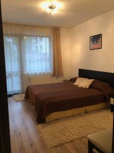 Un dormitorio con una cama grande y una ventana en St. Anastasia Apartments, en Bansko