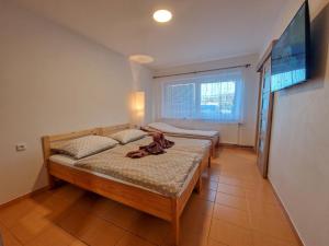 Zimmer mit 2 Betten und einem Flachbild-TV in der Unterkunft Apartmán U řeky in Česká Ves