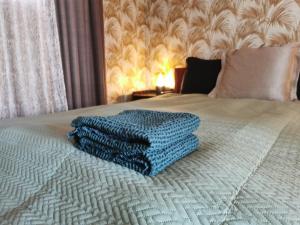 的住宿－''Ābeļdārza māja''，床上的蓝色毯子