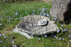 Zahrada ubytování Villa Ingrid