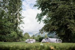 Paesaggio naturale nelle vicinanze dell'hotel