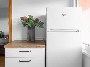 a white refrigerator with a vase of flowers on a table at Apartma Vrtnica 5th floor in Nova Gorica