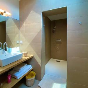 a bathroom with a shower and a sink and a mirror at La Dormance in Beaune +29 photos