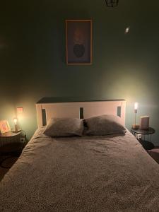 um quarto com uma cama grande e 2 candeeiros em Appartement cosy hyper centre colmar em Colmar