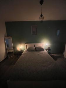 a bedroom with a large bed and two lamps at Appartement cosy hyper centre colmar in Colmar