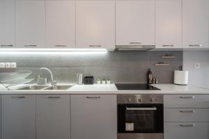 Kuchyňa alebo kuchynka v ubytovaní Exclusive apartment in the heart of Athens