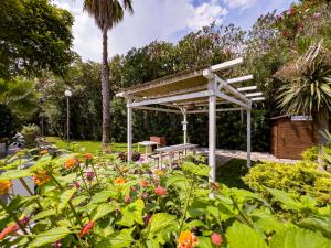 Zahrada ubytování Residence Borgo Latino- Localo