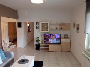 TV a/nebo společenská místnost v ubytování Apartman Katica