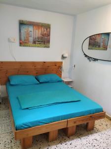 Cama o camas de una habitación en Lev-Ari Accommodation for Travelers