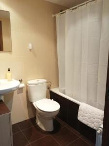 a bathroom with a white toilet and a sink at Apartamento Ibañez Martín in Mora de Rubielos