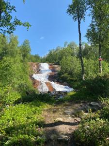 a river on the side of a hill with trees at Hemavans Fjällcenter in Hemavan