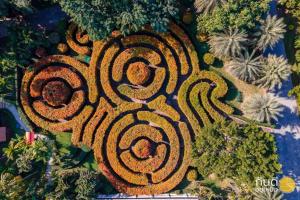 an overhead view of a garden with a swirl at Horizon Village & Resort SHA Plus in Doi Saket