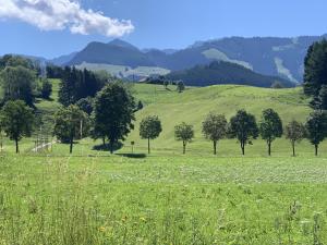 a green field with trees and mountains in the background at Anisers Hüs in Altstädten +11 photos
