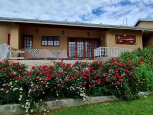 MatatieleにあるResthaven Guesthouseの白と赤の花の家