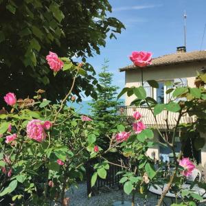 une maison avec des roses roses roses devant une clôture dans l'établissement Infocus-Du-Sud, à Soula