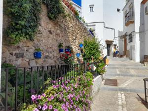 une rue en positano avec des fleurs sur un mur en pierre dans l'établissement Casa Alkalat, à Alcalá de los Gazules