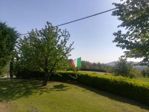 Afbeelding uit fotogalerij van Locazione turistica Cascina Pela in Castagnole Lanze +36 foto's