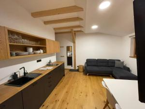 Kuchyňa alebo kuchynka v ubytovaní Apartmány Hacienda Boží Dar