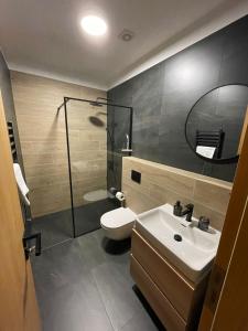 a bathroom with a sink and a toilet and a shower at Apartmány Hacienda Boží Dar in Boží Dar
