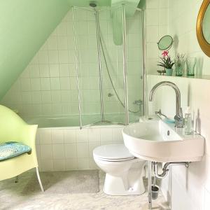 een badkamer met een douche, een toilet en een wastafel bij Zauberhafte FeWo im Herzen von Wolfenbüttel in Wolfenbüttel