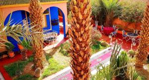 Zahrada ubytování Riad Jasmine Sud