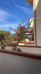a view of a balcony with pink flowers at Creúsa de ma Calasetta in Calasetta