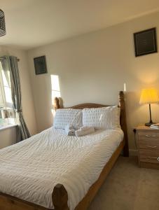 1 dormitorio con cama, lámpara y ventana en Cosy double room with private bathroom homestay en Caldecote