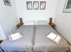 a bed with two pillows on it in a room at Apartament Alpejski Mały in Lądek-Zdrój