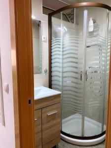 a bathroom with a shower and a sink at Apartamento Vistafranca in Málaga