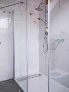 a shower with a glass door in a bathroom at Měšťanský dům Rožmberk 31 in Rožmberk nad Vltavou